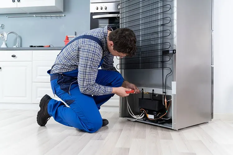Fridge Repair 1666788403 optimized